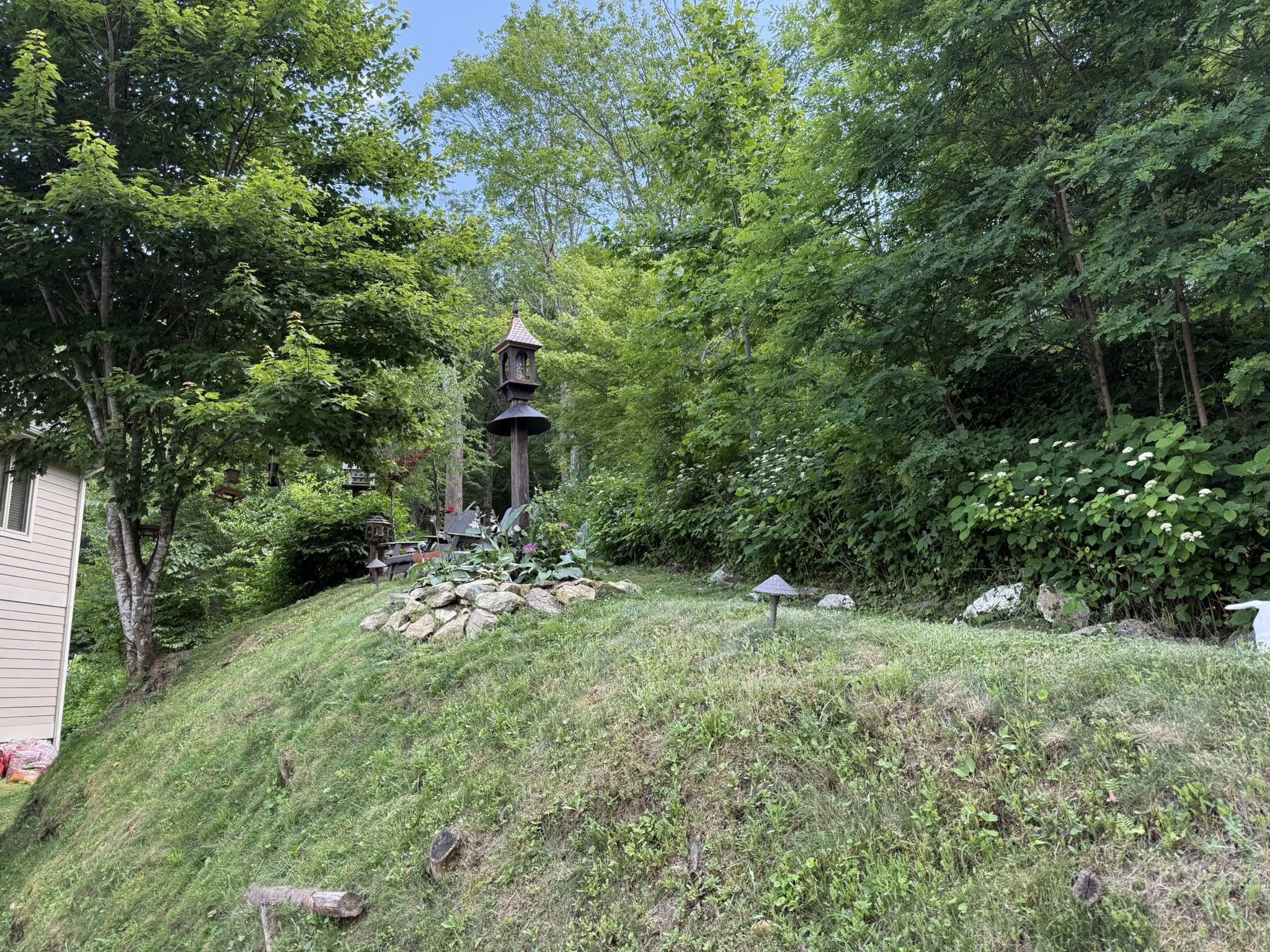 Mountain-property access path